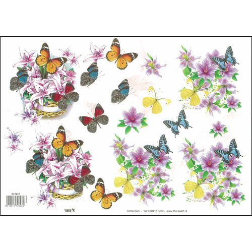 Floral/Butterflies-572947