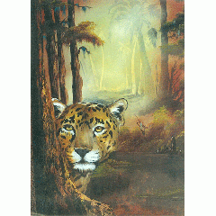 [특가판매]Bob Ross-RWL004-Tropical Jaguar