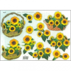 Floral/Butterflies-574545