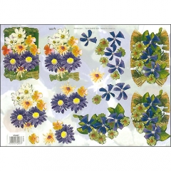 Floral/Butterflies-572697