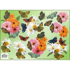 Floral/Butterflies-572680