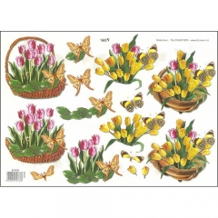 Floral/Butterflies-572738