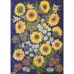 AC401 Sunflowers(50*70cm) - 019