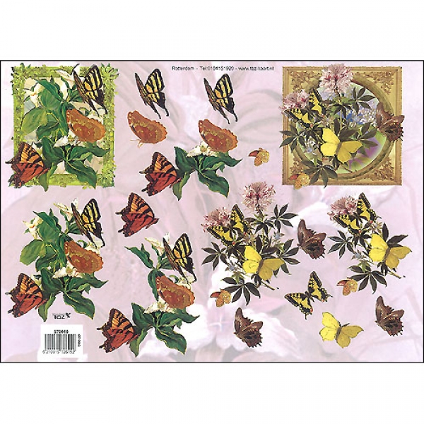 Floral/Butterflies-572615
